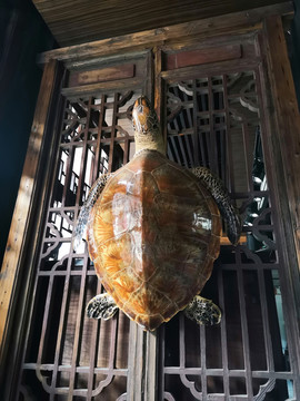 海龟木雕