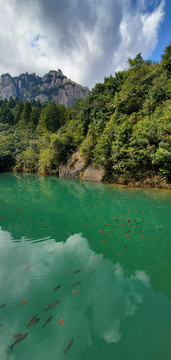 山水景