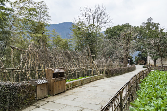 江西婺源篁岭景区风光