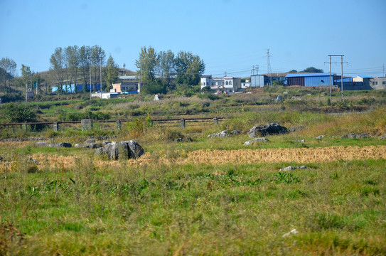 山区荒地