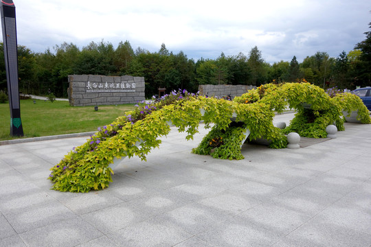 长白山东北亚植物园