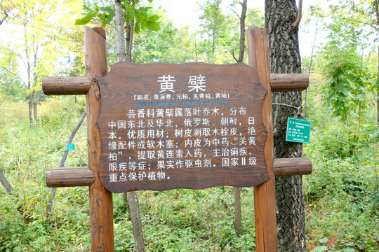 长白山东北亚植物园