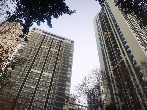 高楼大厦
