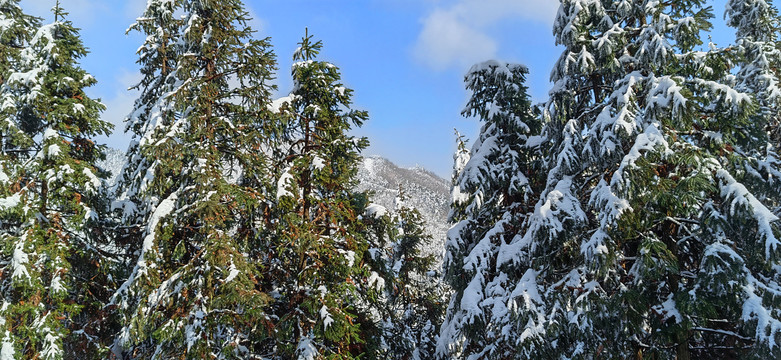 皖南雪景