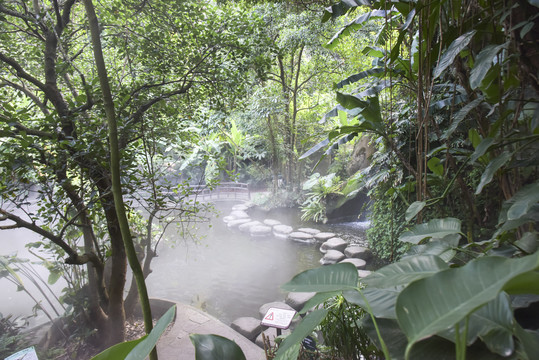 厦门植物园雨林世界