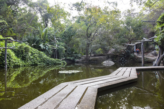 厦门植物园雨林世界