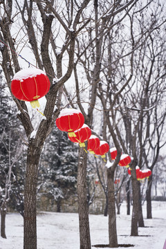 落雪的红灯笼