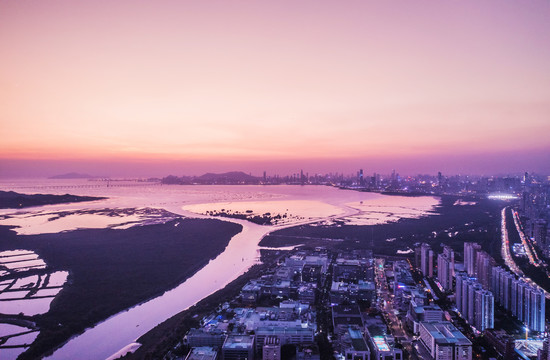 广东深圳湾粤港澳大湾区