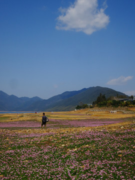 青狮潭