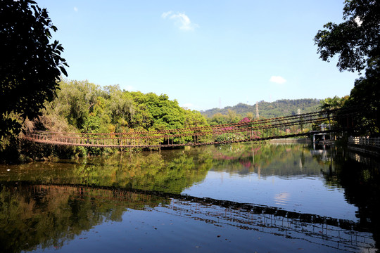 深圳东湖公园美景