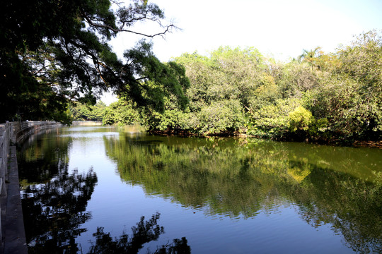 深圳东湖公园湖水