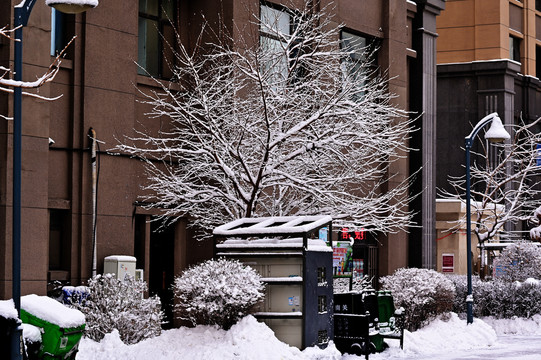 雪景