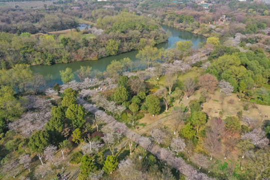 航拍淹城遗址公园