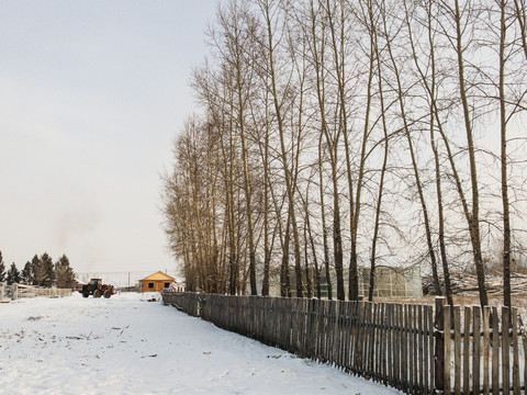 冬季乡村树林栅栏