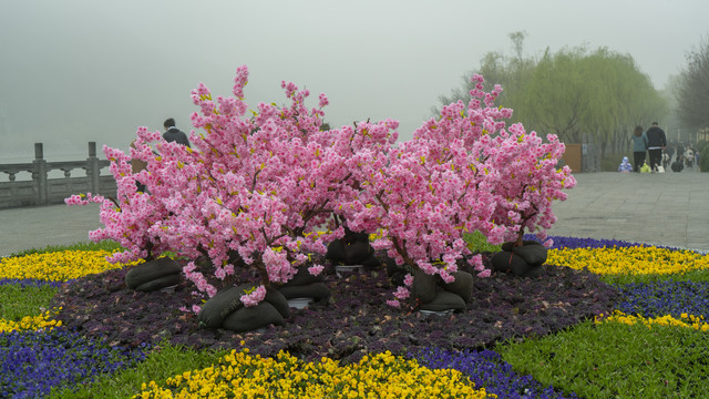 梅花