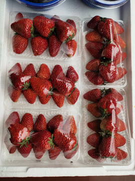 打包好的草莓