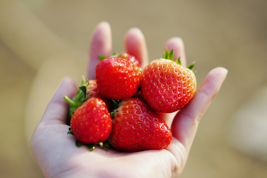 手拿草莓