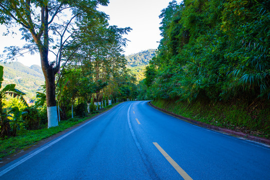 森林公路