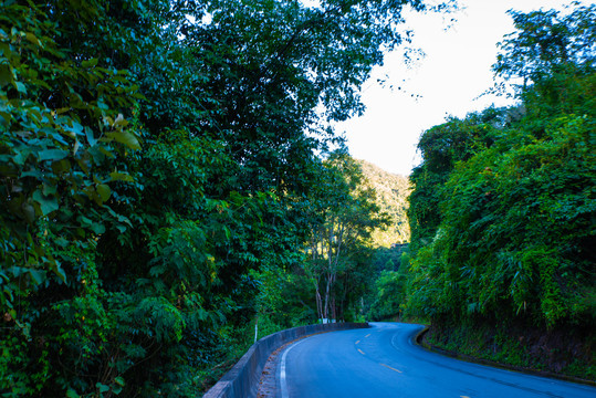 森林公路