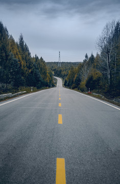 延伸的道路和森林