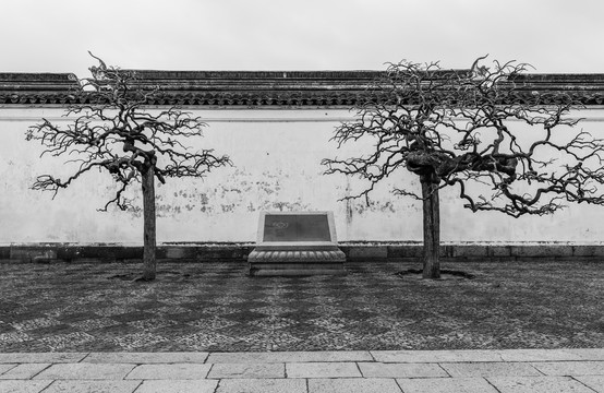 园林景观