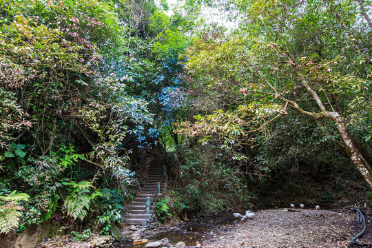 双龙沟原始森林景区童话森林