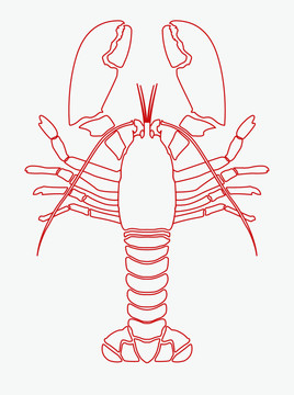 一只龙虾矢量线条图