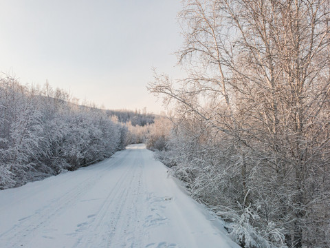 森林冬季道路积雪