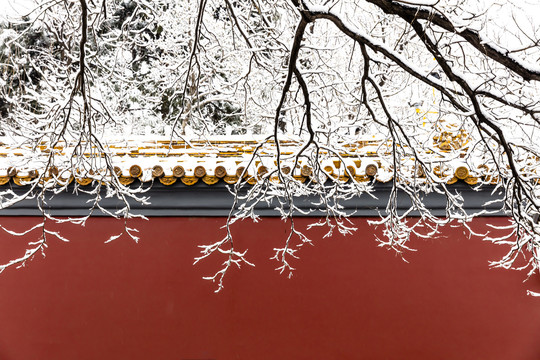 北京城市红墙雪景