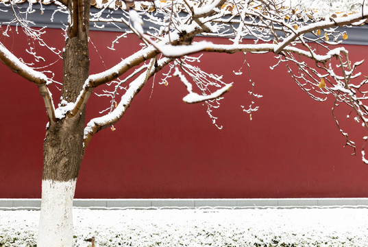 北京城市红墙雪景