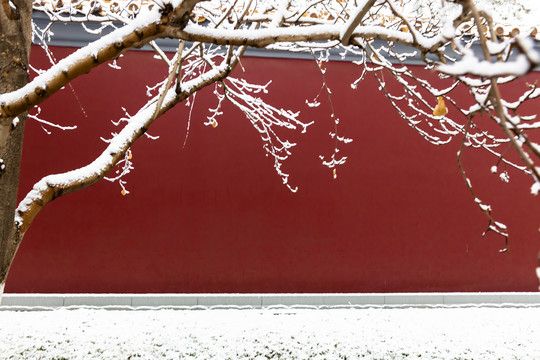 北京城市红墙雪景