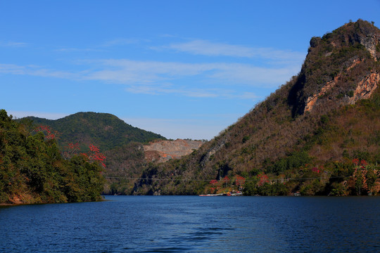 昌化江木棉