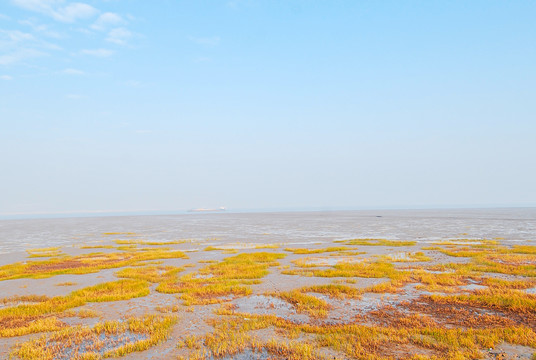 盘锦红海滩