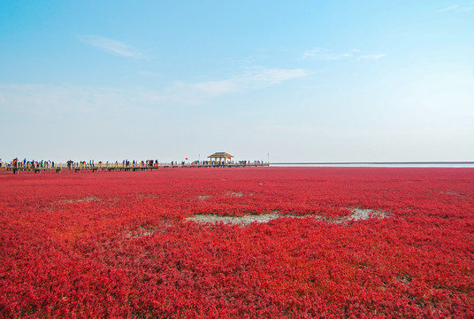 盘锦红海滩