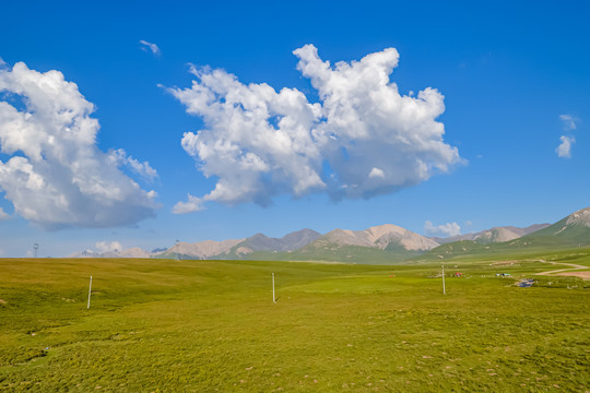 青海祁连山