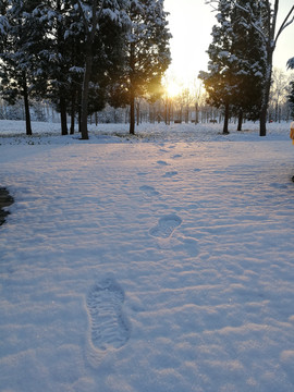 大雪后阳光下的脚印