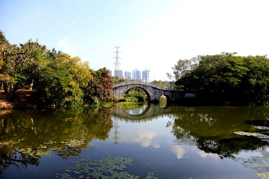 深圳东湖公园湖水美景