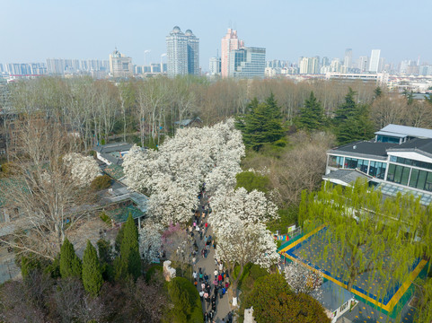 济南百花公园