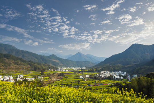 婺源乡村田园风光