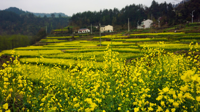 汇湾风光八