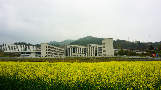 汇湾田地