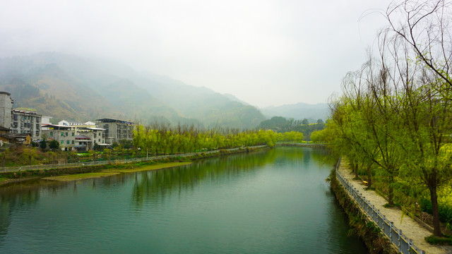 汇湾风光杨柳岸