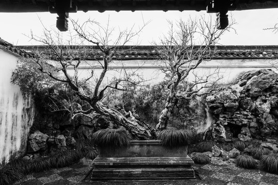 苏州网师园