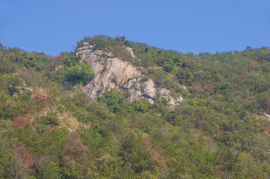 山地岩石森林