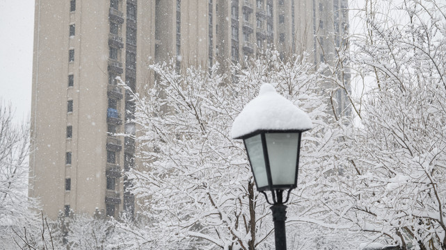 居民区路灯雪景