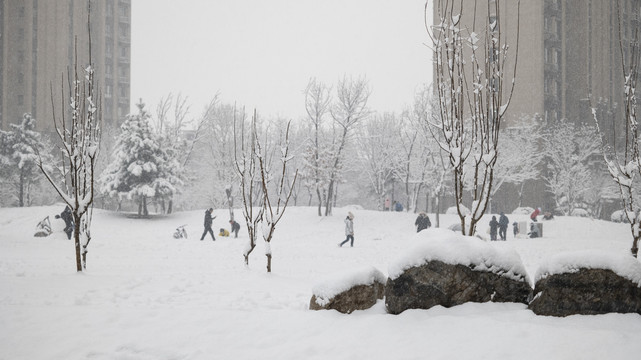 一群人在社区中玩雪