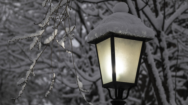 路灯照亮树枝上的积雪