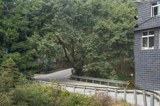 荣县双溪湖景区公路