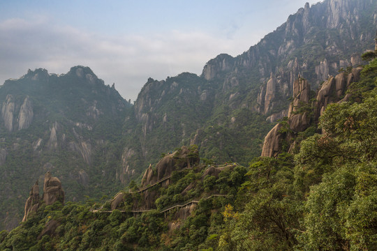 奇峰劲松三清山3