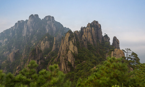 奇峰劲松三清山14